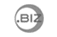 .biz